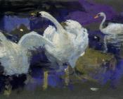 伊格纳西奥 狄亚兹 奥拉诺 : Swans